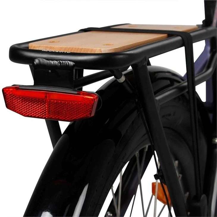 Customized Electric City Bike